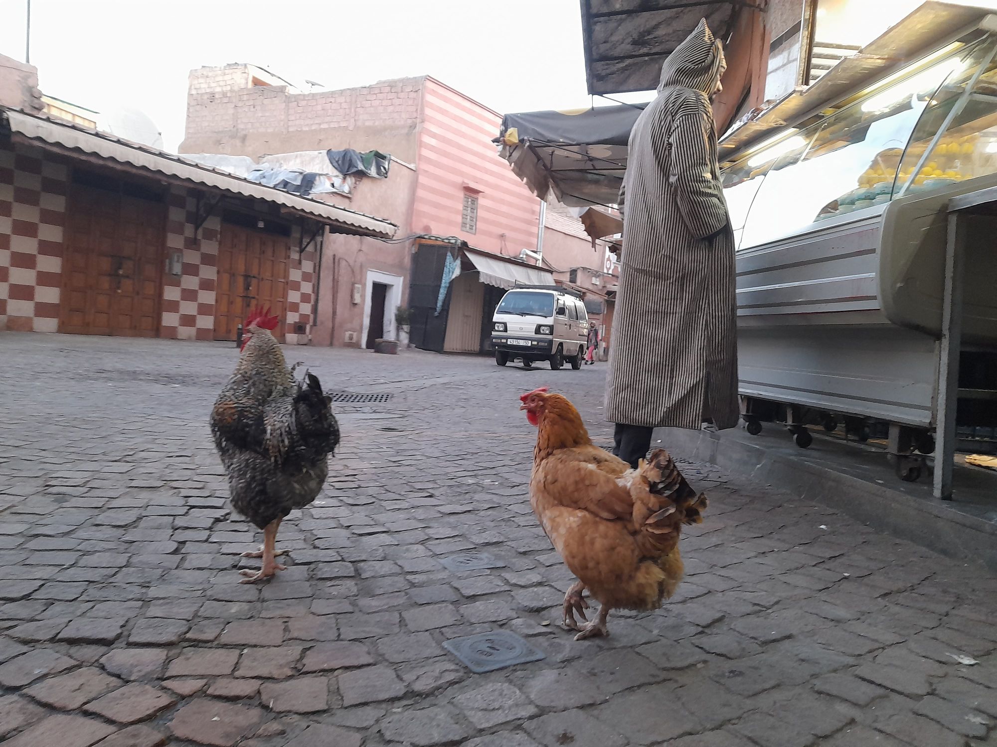 Street in Marrakech